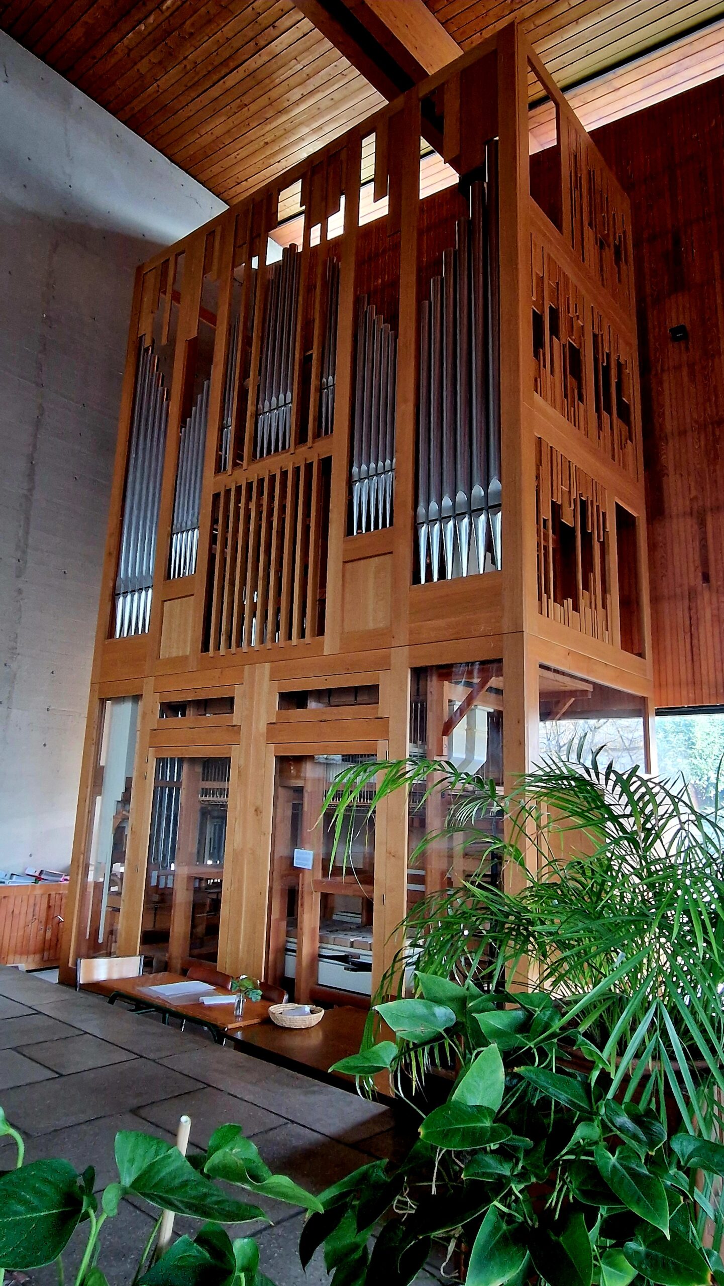 26-27 V11 L'orgue d'Albigny
