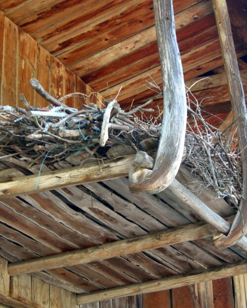 26-27 V26 La Compôte en Bauges