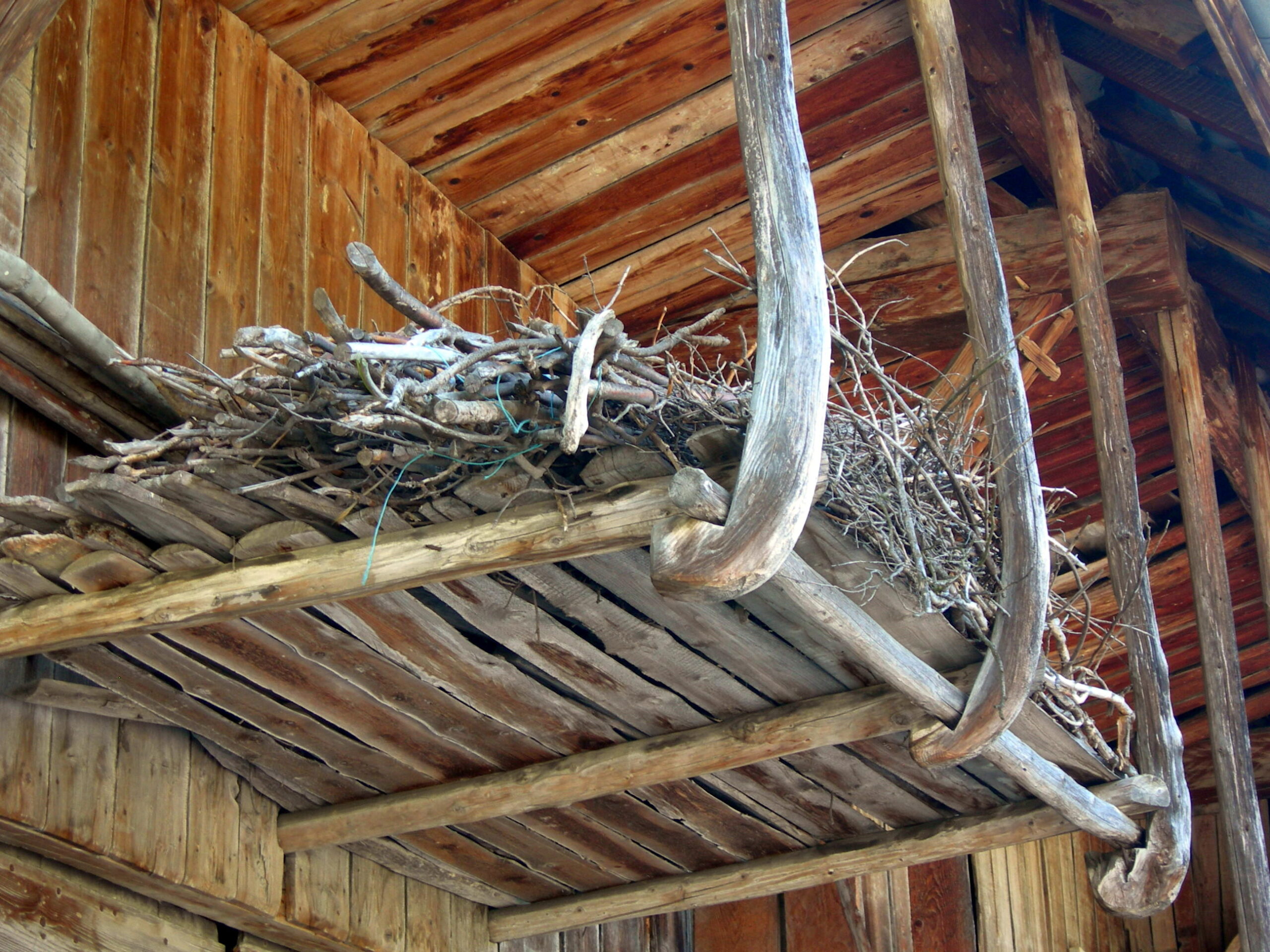 26-27 V26 La Compôte en Bauges